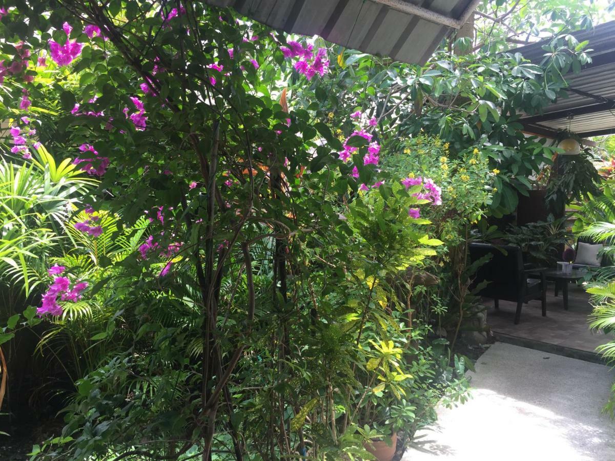 Hotel Lemon House Samui à Mae Nam Extérieur photo